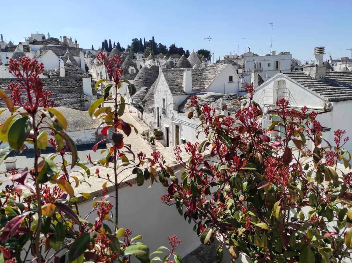 Apartamento Nou La Tua Casa In Puglia Alberobello Exterior foto